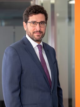 Vassilios Vizas, Partner, Leader of Tax & Legal Services logo